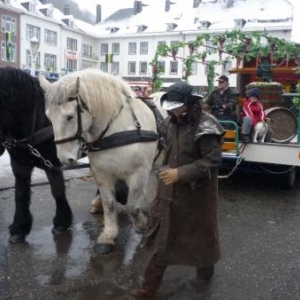 Les chevaux participent egalement