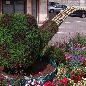 Saint - Claude, ville de la pipe ( parterre fleuri )