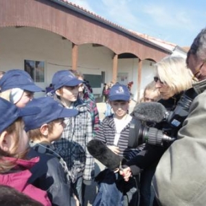 Medias locaux Medias locaux