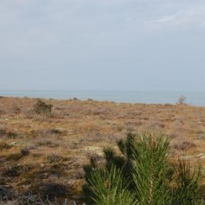 Decouverte des environs Decouverte des environs