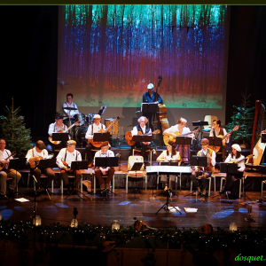 Le Cercle Royal des Mandolinistes de Malmedy ( Photo Denis DOSQUET )