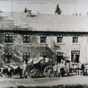 La tourbe fagnarde ( photo : F.Detry )