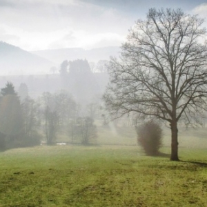 1 Brume campagne Bellevaux