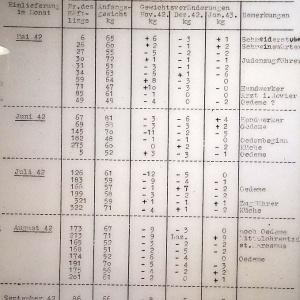 Le Fort de Breendonk ( photo: F. Detry )