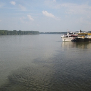 Le Danube a Vukovar