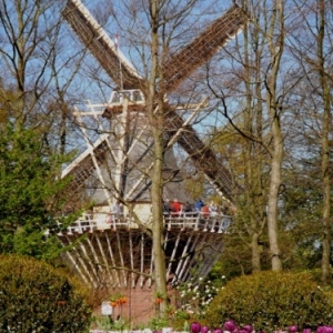   Les printemps  colorés de Keukenhof         