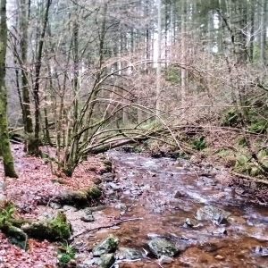 Trôs - Marets ( Photo Detry )