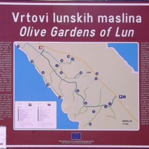 Les oliveraies de Lun