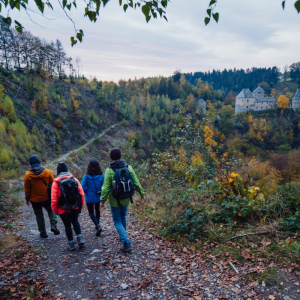 3. La Fagne du Sud ( de Malmedy à Robertville (13 km) et de Robertville à Butgenbach (8,8 km). 