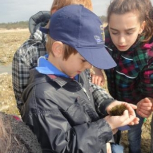 Analyse de la recolte Analyse de la recolte