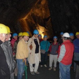 Des visiteurs attentifs aux explications fournies