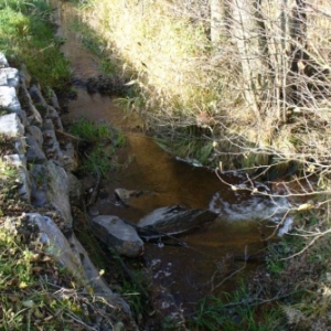 Reparation et protection de la berge du Barechin dont l' erosion menacait un chemin pres de Ville du Bois / Vielsalm (DST Province Luxembourg)