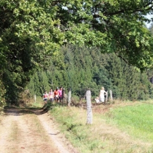 13° édition du Trail des Hautes Fagnes                                