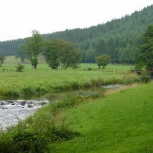 CANTONS DE L’EST       Randonnées et Balades de rêve au fil de l‘eau