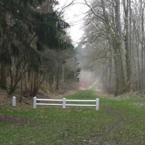 "Le Ravin des vignes " : mouvement de terrain permettant de se rendre d'un point a un autre, sans se perdre ni etre vu.