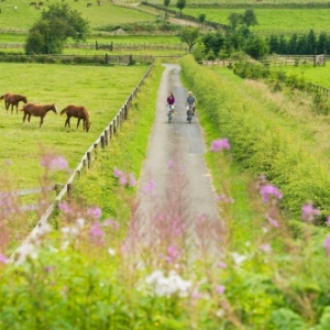 Cantons de l' Est                           23 établissements de la région ont reçu le label «bed+bike»