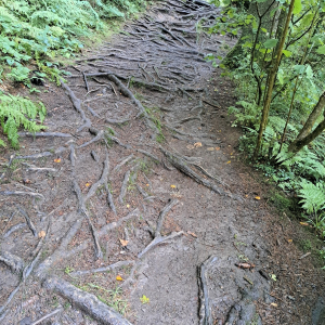 VENNTRILOGIE Etape 4 VENNTRILOGIE Etape 4