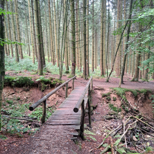 VENNTRILOGIE Etape 4 VENNTRILOGIE Etape 4