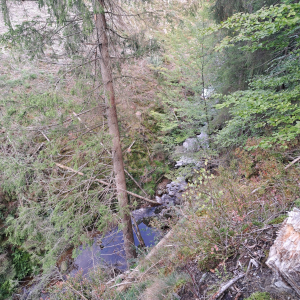 VENNTRILOGIE Etape 4 VENNTRILOGIE Etape 4