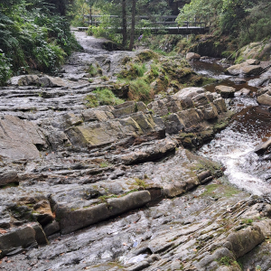 VENNTRILOGIE Etape 4 VENNTRILOGIE Etape 4