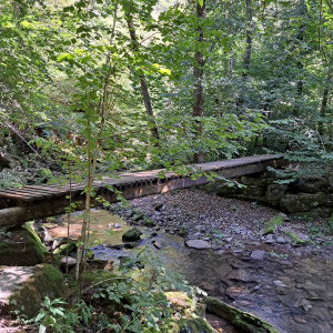 VENNTRILOGIE Etape 5 et 6 VENNTRILOGIE Etape 5 et 6