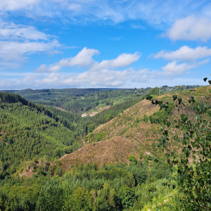 VENNTRILOGIE Etape 5 et 6 VENNTRILOGIE Etape 5 et 6