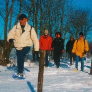 Promenade familiale