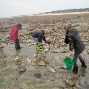 Analyse de la recolte Analyse de la recolte