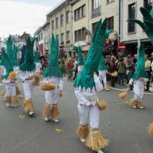 Malmedy tout en couleurs pour les 50 ans de la Mesnie dol Haguète          