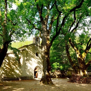 6 Abbaye Notre-Dame-de-Lure