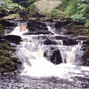 Les cascatelles ( Photo : F. Detry )