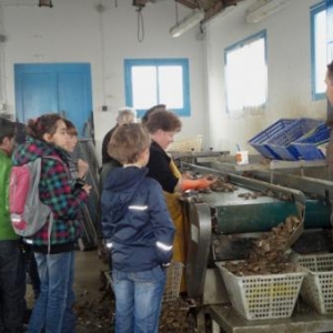 L'huitre et ses secrets L'huitre et ses secrets