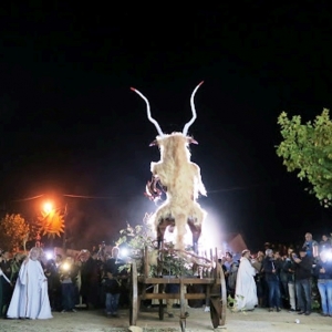 Fête de la chèvre à Bragance