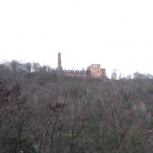 Les ruines de l'abbaye de Limburg