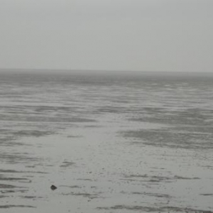 Decouverte du biotope Decouverte du biotope