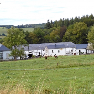 La "Ferme d'Arimont" ( photo : F. Freches )