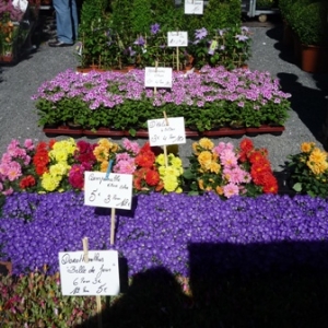 MALMEDY              15ème édition de la  Fête des Fleurs et du Jardin