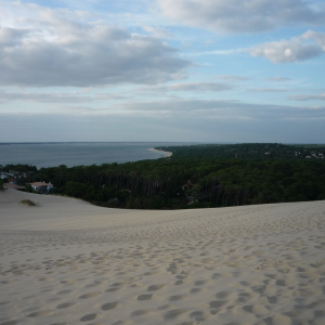La Dune du Pylat ( photo : F. Detry )
