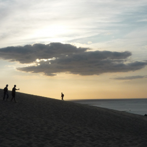 La Dune du Pylat ( photo : F. Detry )