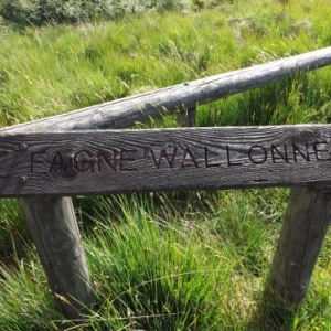 Fagne wallonne ( photo de F. Detry )