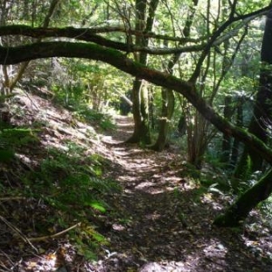 Promenade en bordure du canal de Bernitap