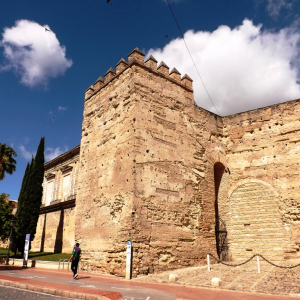 Alcazar ( photo : F. Detry )