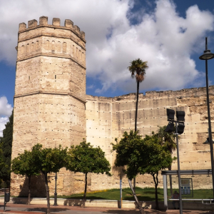 Alcazar tour octogonale ( photo : F. Detry )