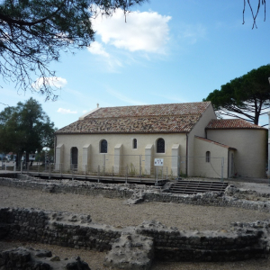 Andemos ( photo : F. Detry )