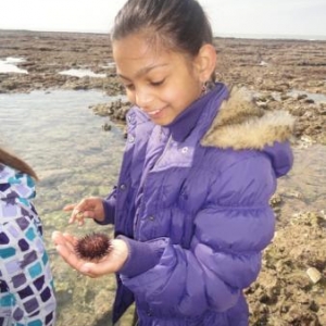 Analyse de la recolte Analyse de la recolte