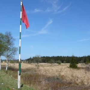 Hautes Fagnes                               L' incendie est éteint