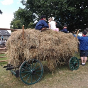 Vieux Metiers 2013 : la fenaison