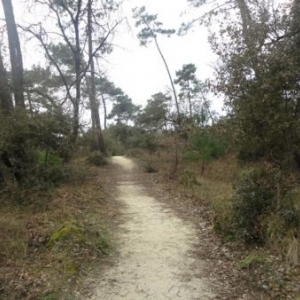 Decouverte du biotope Decouverte du biotope