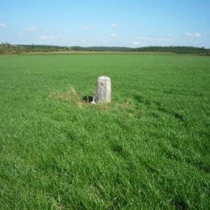  Borne - frontiere au milieu des champs ( cote Hachiville - GD Luxembourg )