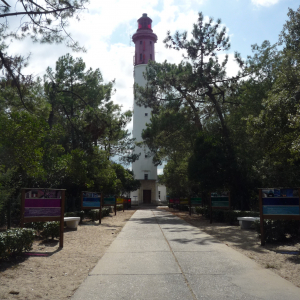 Cap - Ferret ( photo : F. Detry )